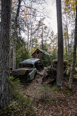 Old cars in wild nature on the car cemetery of Kyrkö Mossei in Sweden