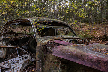 Old cars in wild nature on the car cemetery of Kyrkö Mossei in Sweden