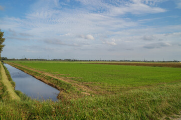 landscape with a river