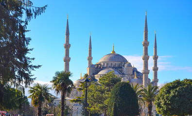 Beautiful Blue Mosque of Turkey (Sultanahmet Camii), view from parkside, Istanbul 