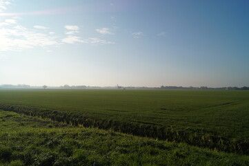 Fototapeta premium green field and sky