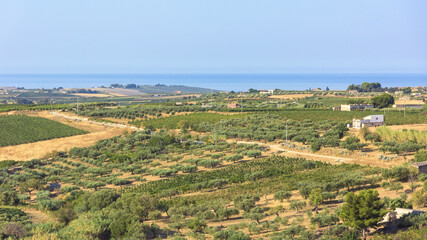 Agricultural landscape of Sicily