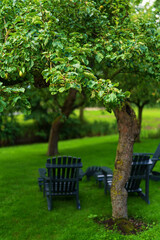 bench in the park with apple trees and green lawn