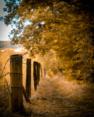 Waldweg