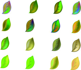 assorted leaf colors