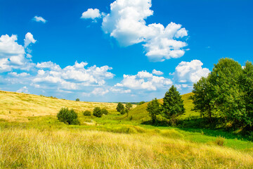 Obraz premium Beautiful summer rural landscape