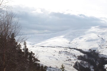 Fototapeta na wymiar beautiful winter landscapes in the mountains