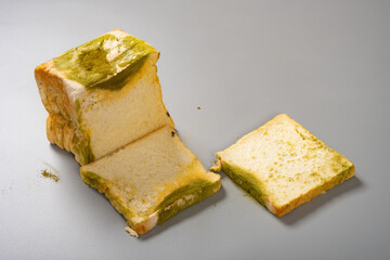 moldy bread on grey background
