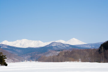 Fototapeta premium 晴れた冬の日の雪原と雪山 大雪山
