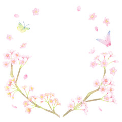 Obraz na płótnie Canvas ＜フレーム素材＞水彩画で描かれた、桜と蝶が舞う丸フレーム