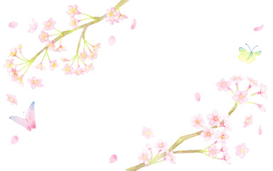 Naklejka na ściany i meble ＜フレーム素材＞水彩画で描かれた、桜舞うフレーム