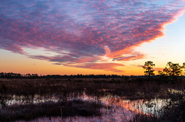Wetlands Morning with Mackerel Sky