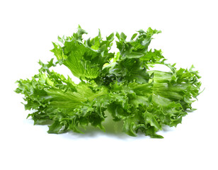 Salad leaf. Lettuce isolated on white background.