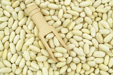 White beans with wooden scoop