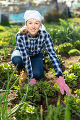 Young positive woman weeds the garden beds beets. High quality photo