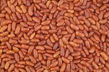 Red kidney beans as background