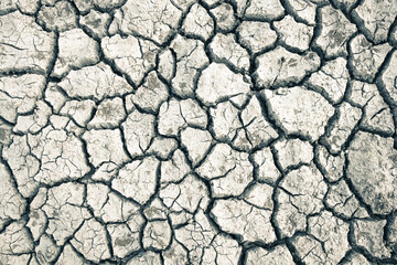 Landscape ground cracks drought crisis environment background.