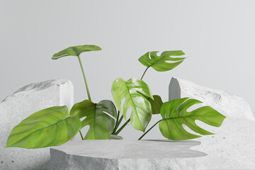White stone podium, Cosmetic display product stand with monstera leaf on white background. 3D rendering