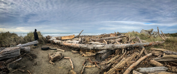 Panorama of driftwood covering beach after Oregon storm