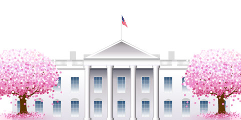 アメリカ　 桜　ホワイトハウス　背景