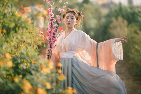 Portrait of beautiful asian young woman wearing  traditional cheongsam costume holding  cherry blossoms in garden. Costume chinese girl holding pink flower under green tree .