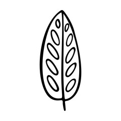 Banana leaves and fruits. Vector illustration