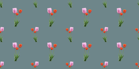 Beautiful seamless pattern with tulip flowers