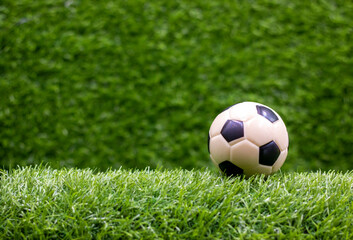 Soccer is on green grass background