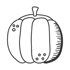 pumpkin vegetable hand draw and line style icon vector design