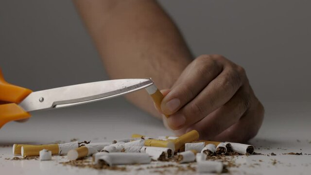 A young man cut a cigarette into two with scissors. He wants to quit smoking for good health. world tobacco day