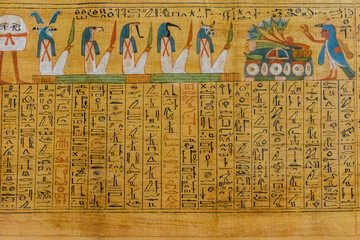 Egyptian ancient papyrus with the different pictures and hieroglyphics