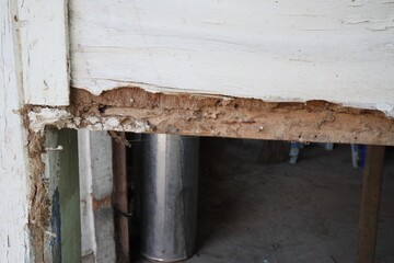 Close-up, window frame damaged by termites, focus on termite nests