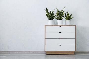 Houseplants on chest of drawers near white wall in room