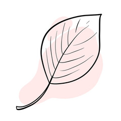 Stylish and beautiful line art. Tree leaf, nature and ecology.