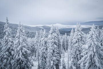 Krokonose mountains is located in northeastern Bohemia and in the south of the Polish part of Silesia. The highest mountain in the Giant Mountains and the whole of the Czech Republic is Snezka 1603m.