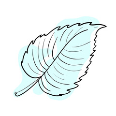 Stylish and beautiful line art. Tree leaf, nature and ecology.