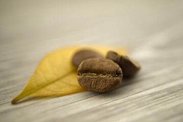 Roasted coffee beans on yellow leaf