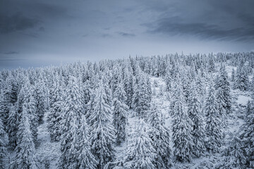 Krokonose mountains is located in northeastern Bohemia and in the south of the Polish part of Silesia. The highest mountain in the Giant Mountains and the whole of the Czech Republic is Snezka 1603m.