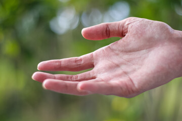 hand holding a leaf