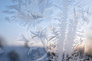Early morning. Heating season. Ice flower on a frozen window