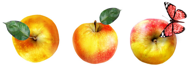 Color apples on white background