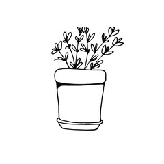 Flower in a pot, flower pot. Saplings.
home greenhouse. Bio plants. save the planet. antistress with flowers. Coloring book for children and adults. For design, textiles, sweatshirts. Stock hand graph