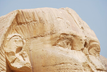 The Great Sphinx in Giza. Cairo, Egypt. Close-up