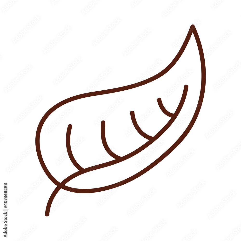 Poster autumn leaf with curve line style icon vector design