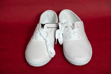 Pair of white sneakers standing on red background