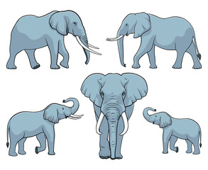 Elephant family. Set of elephants. Vector illustration on white background