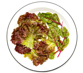 leaves of red and green lettuce on a white background