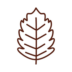 autumn season leaf line style icon isolated vector design