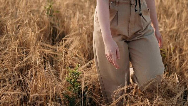 A young girl happily walking in slow motion through a field touching with hand wheat ears. Beautiful carefree woman enjoying nature and sunlight in wheat field at sunset. Freedom concept.