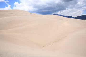 Great Sand Dunes National Park in Colorado, USA